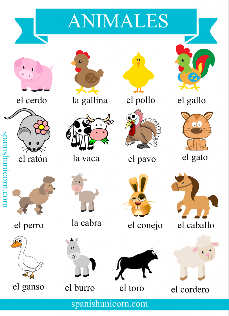 Vocabulario de animales domésticos en español con imagenes