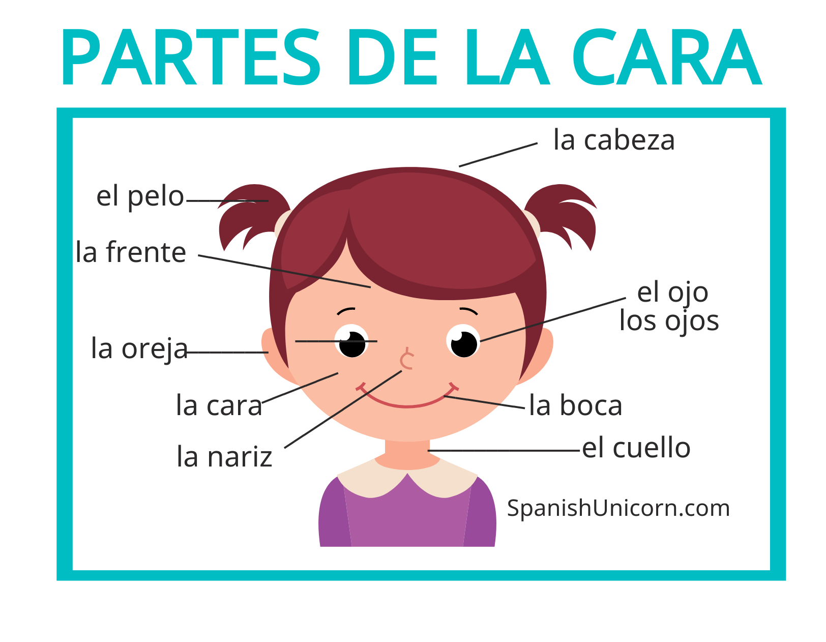 Partes del cuerpo en español con actividades y vocabulario