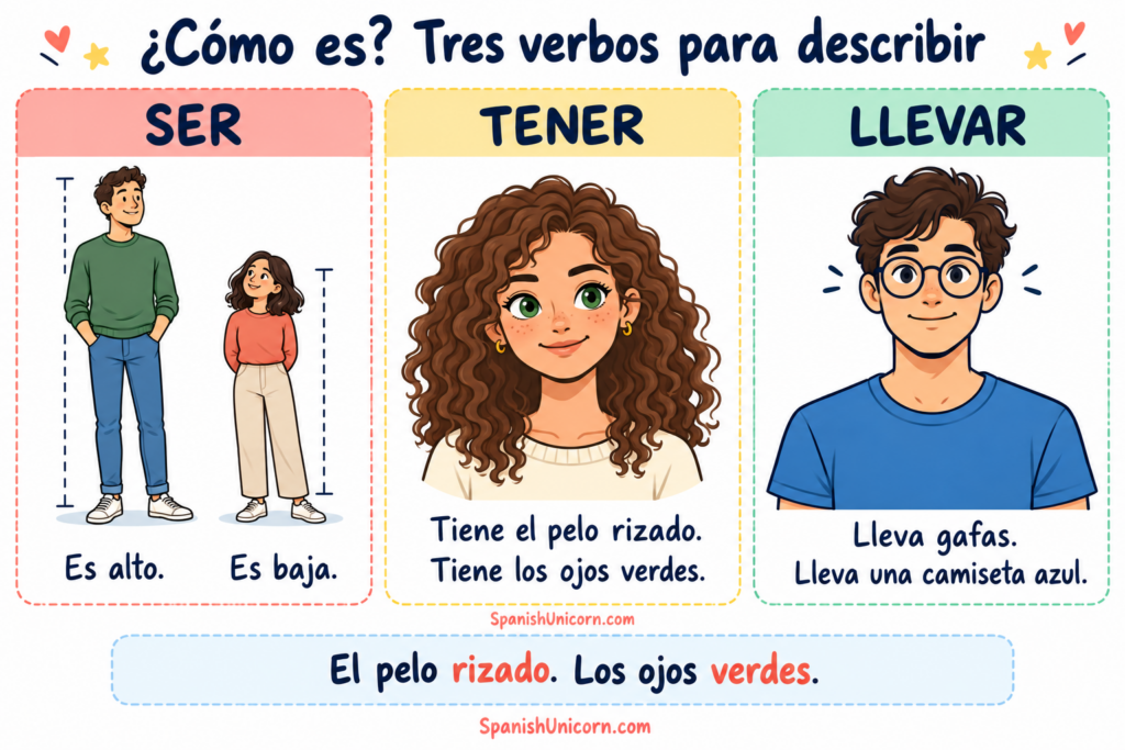 Descripción física con ser, tener y llevar: es alto, es baja, tiene el pelo rizado y los ojos verdes, lleva gafas y una camiseta azul.