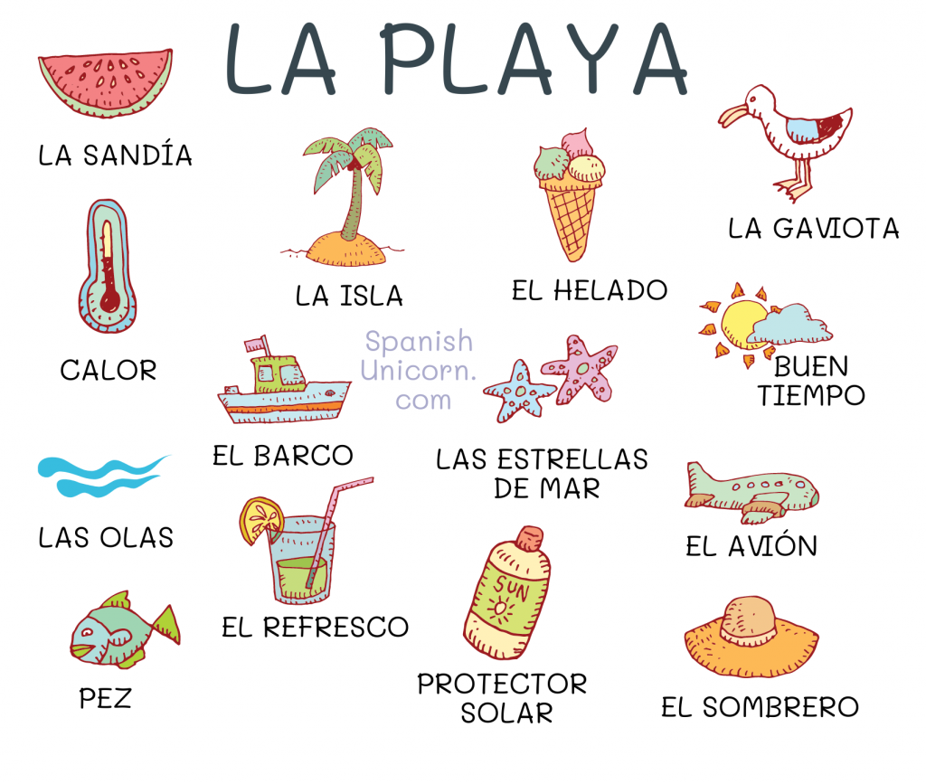 Diálogo y actividades para practicar el vocabulario 