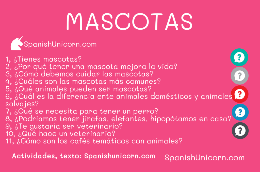 mascotas - erizos en un café de Moscú