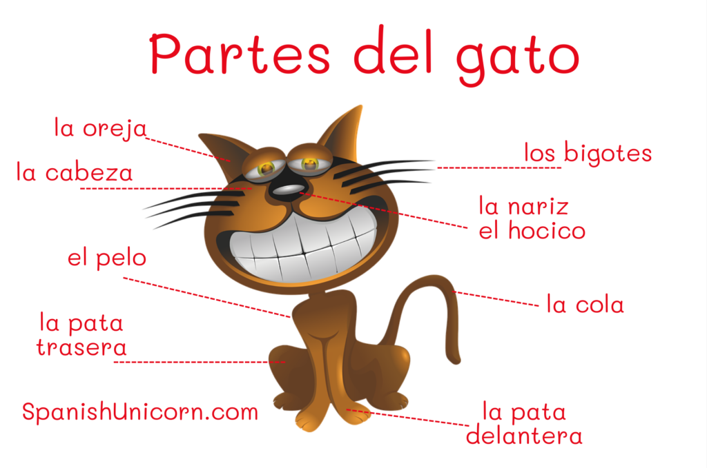 gatos egipcios