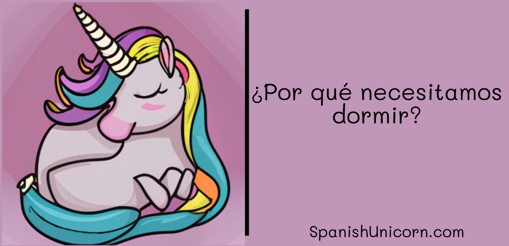 ¿Por qué necesitamos dormir?