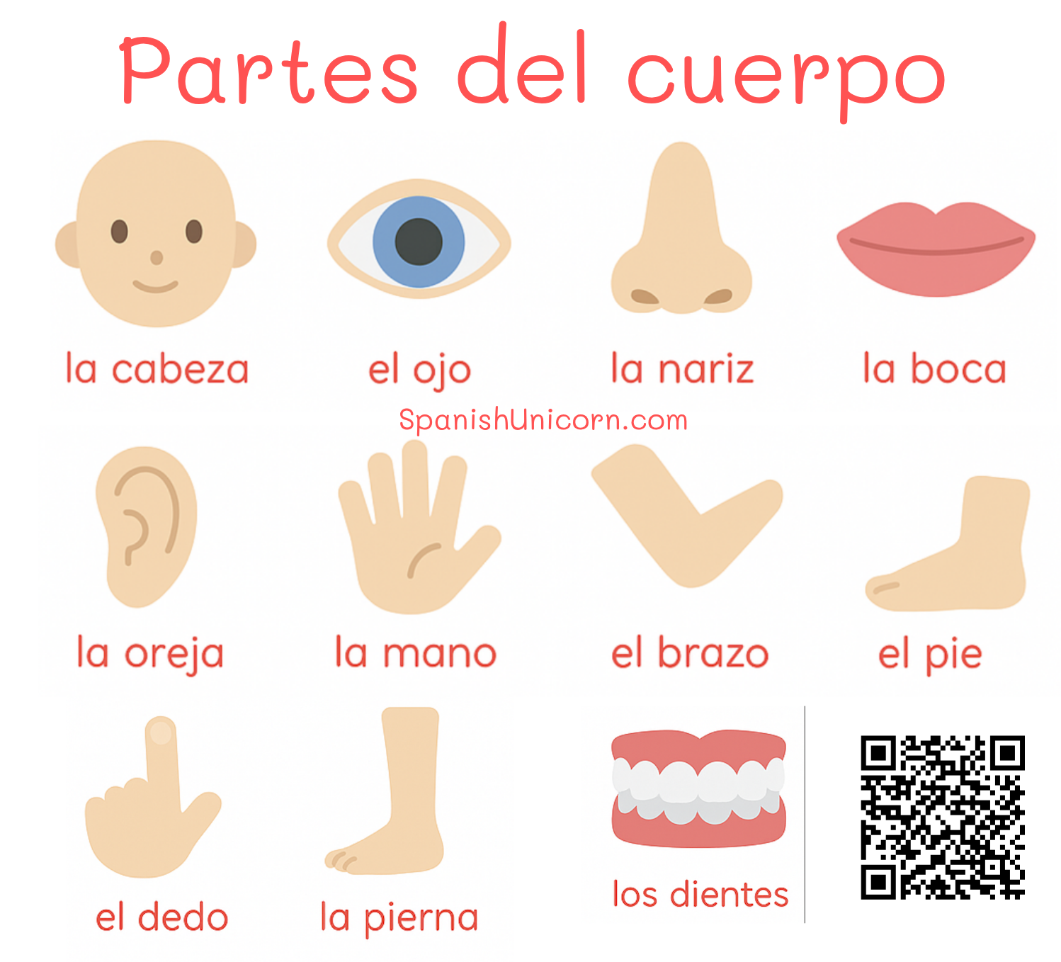 Going to the Dentist in Spanish – Easy Phrases