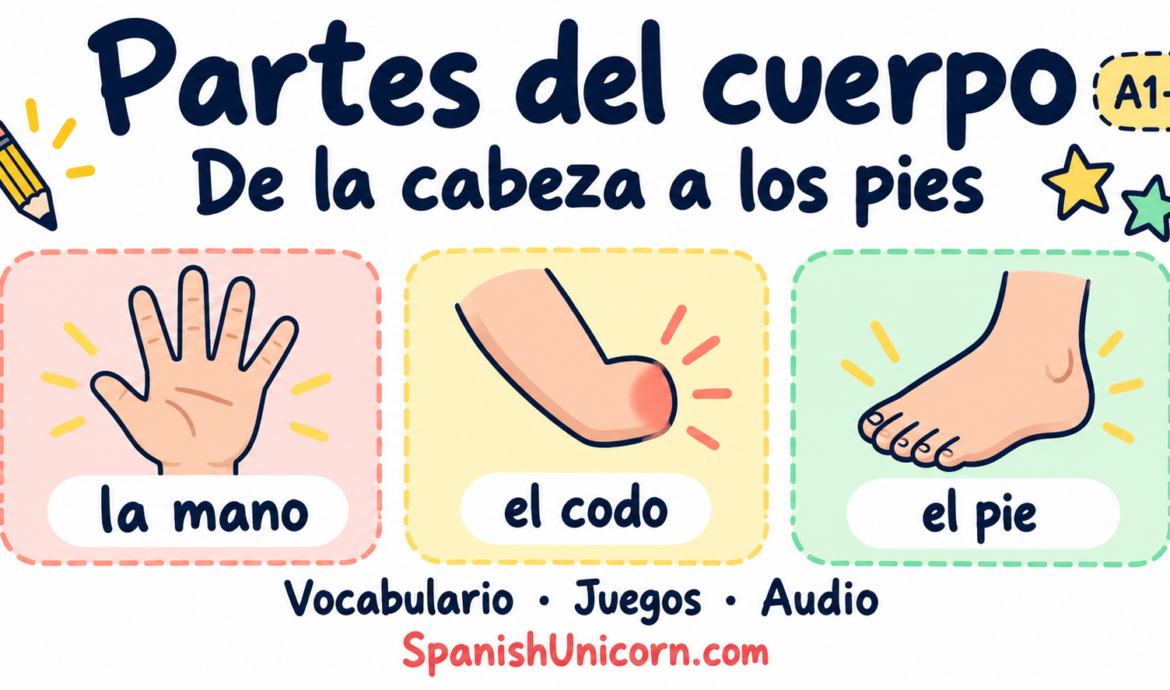Partes del cuerpo en español: la mano, el codo y el pie, con vocabulario, juegos y audio.